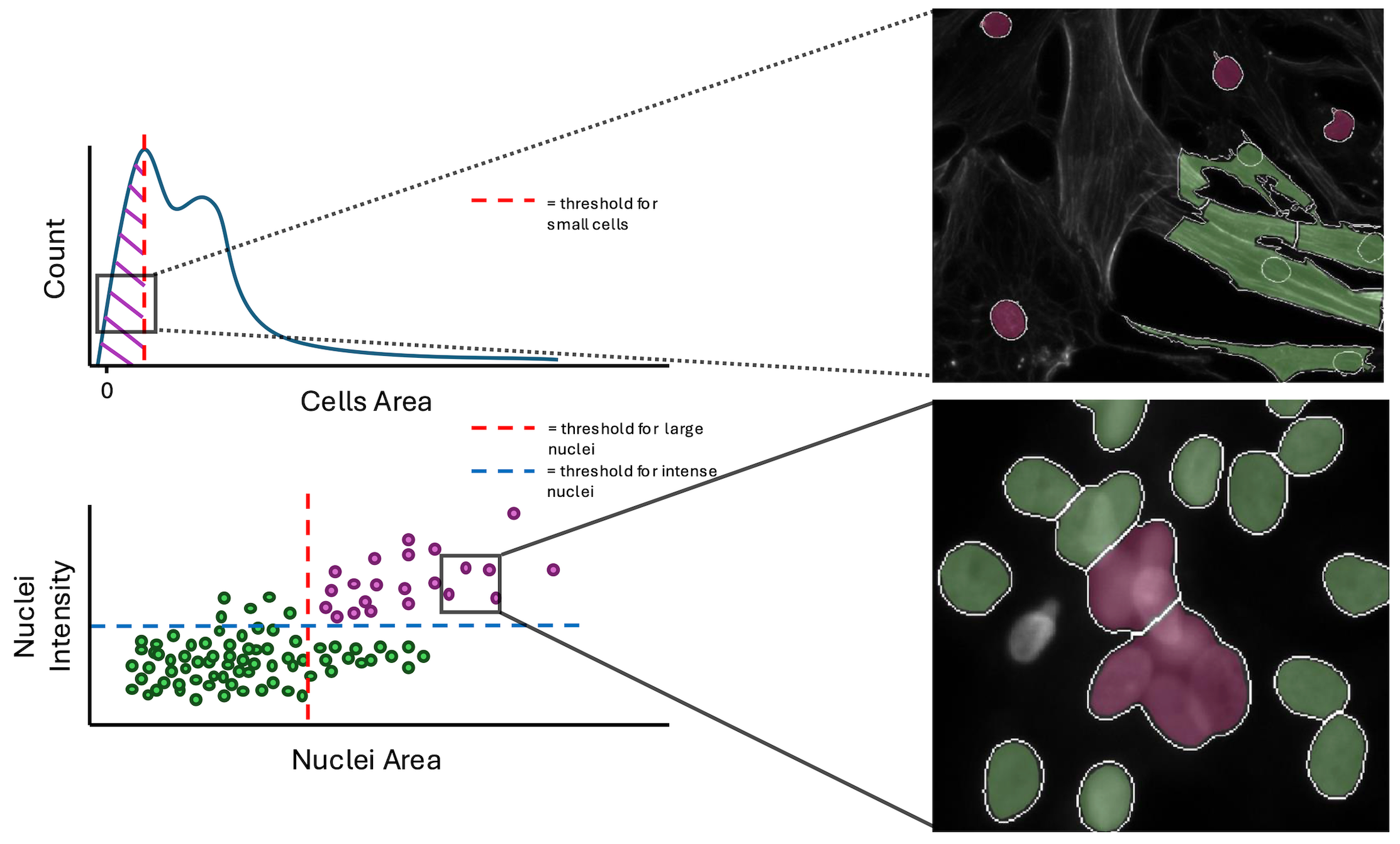 Plots of conditions with example FOVs of good versus failed single cells. Plots of conditions with example FOVs of good versus failed single cells.