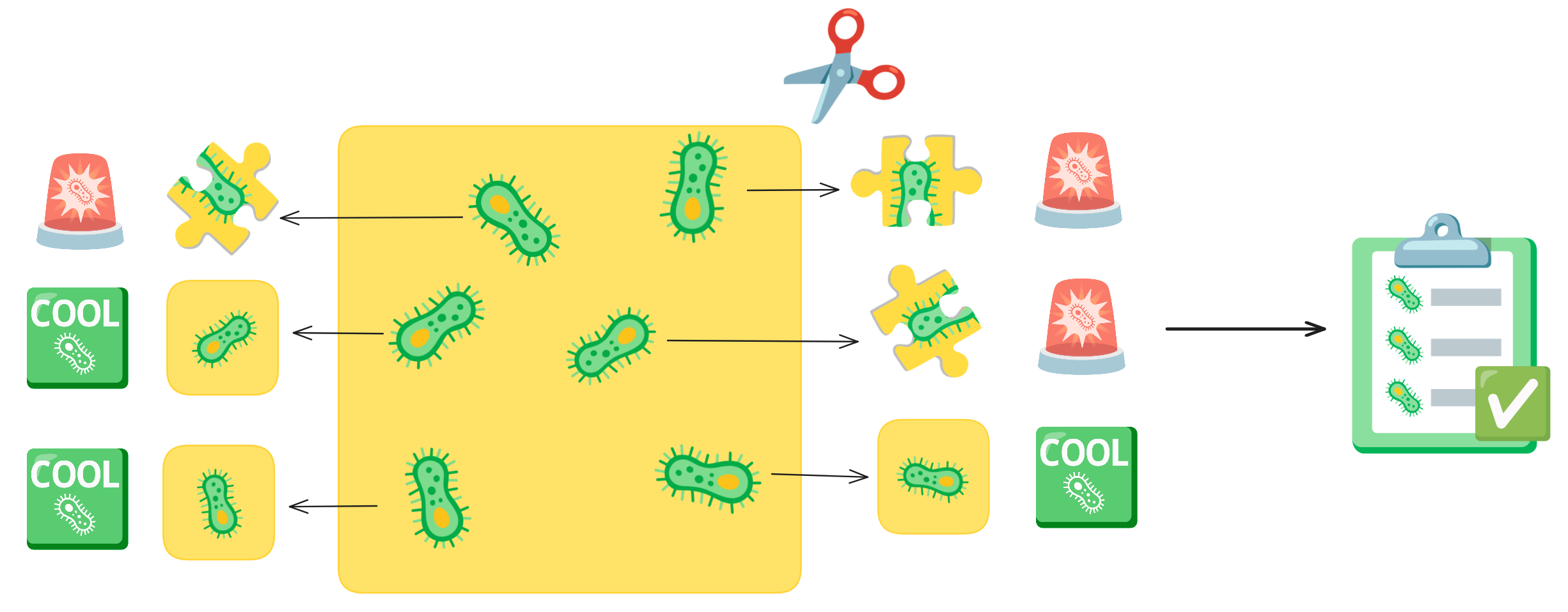 Simplified representation of single-cell segmentation. Simplified representation of single-cell segmentation.